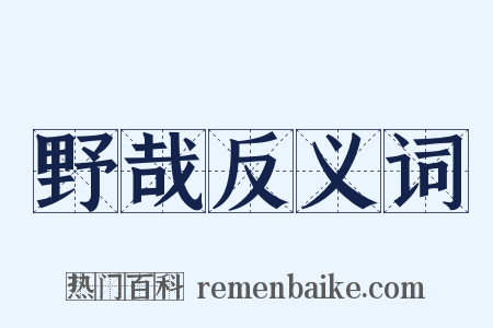 野哉反义词是什么意思的图片
